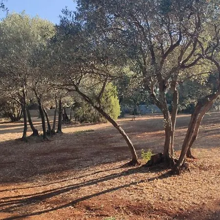 Rose Bb Maison De Charme Hébergement de vacances